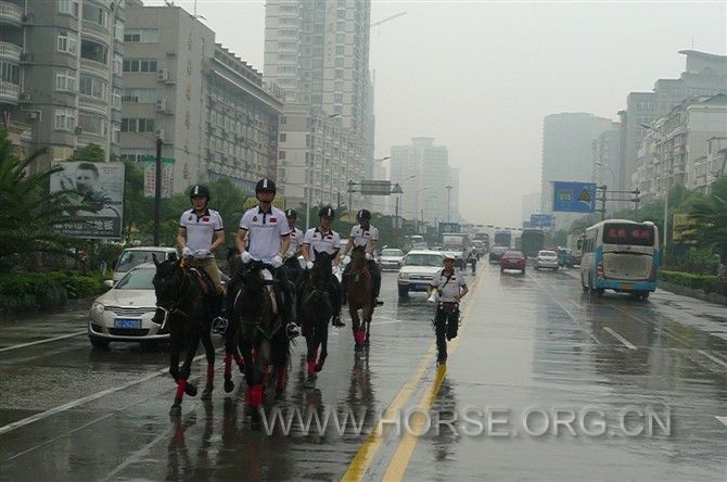 马队在平阳县大道上