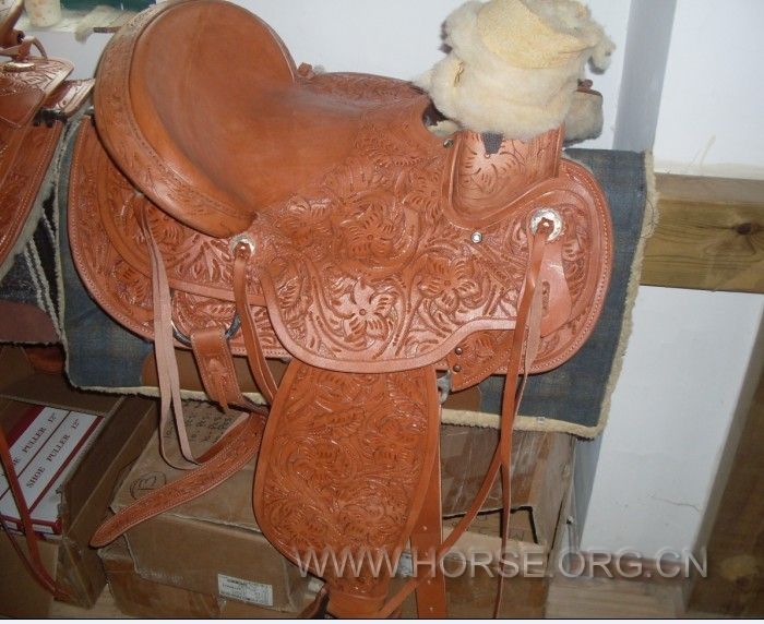 大马西部鞍.jpg