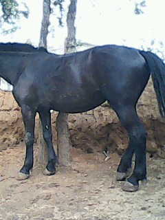 IMG0023A.jpg