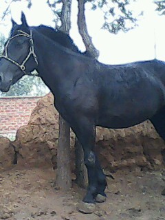 IMG0022A.jpg