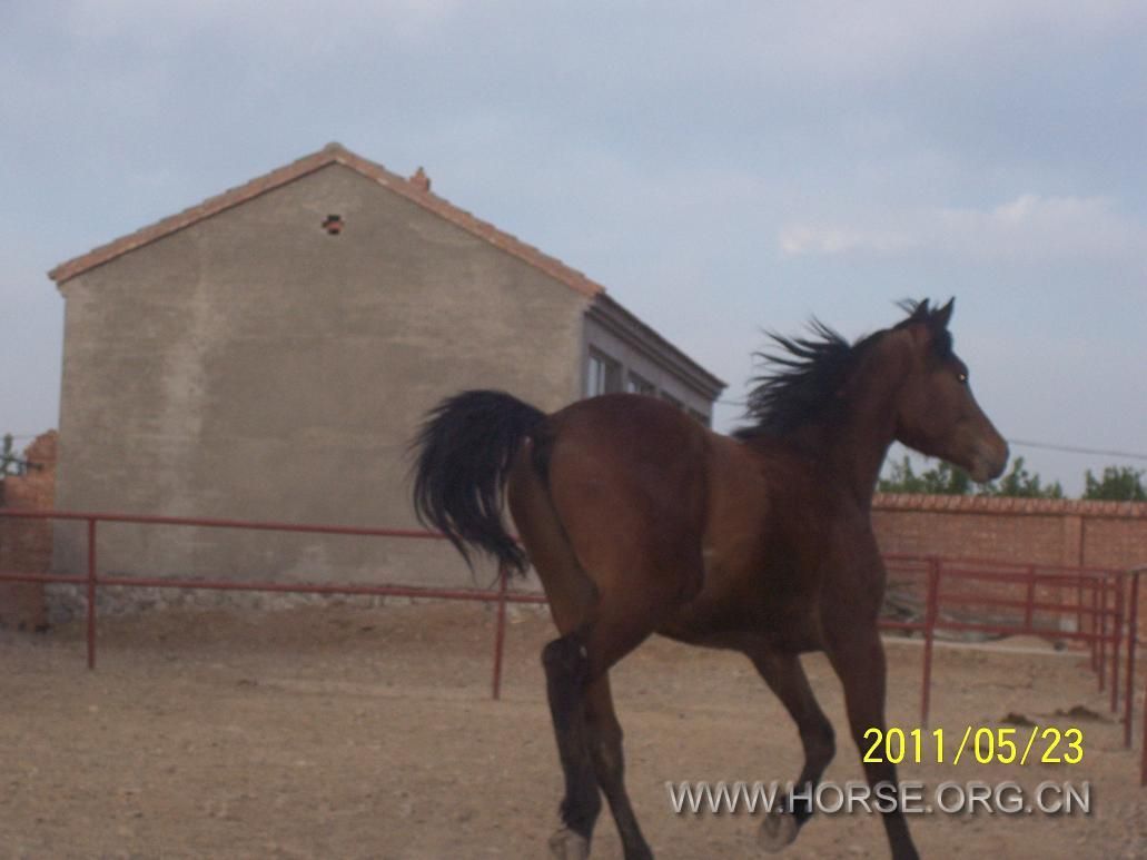 100_3863.JPG
