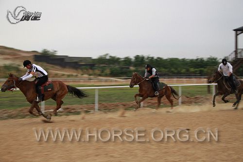 _MG_6768.jpg