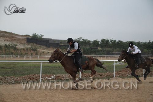 IMG_6788.jpg
