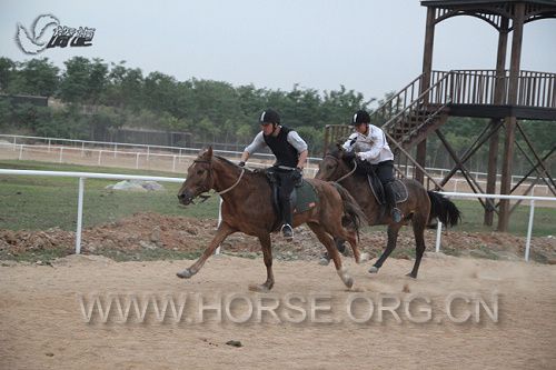 IMG_6776.jpg