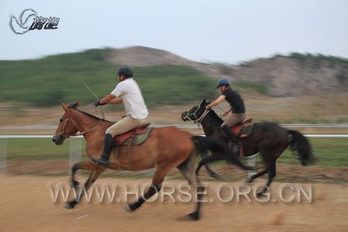 IMG_6816.jpg