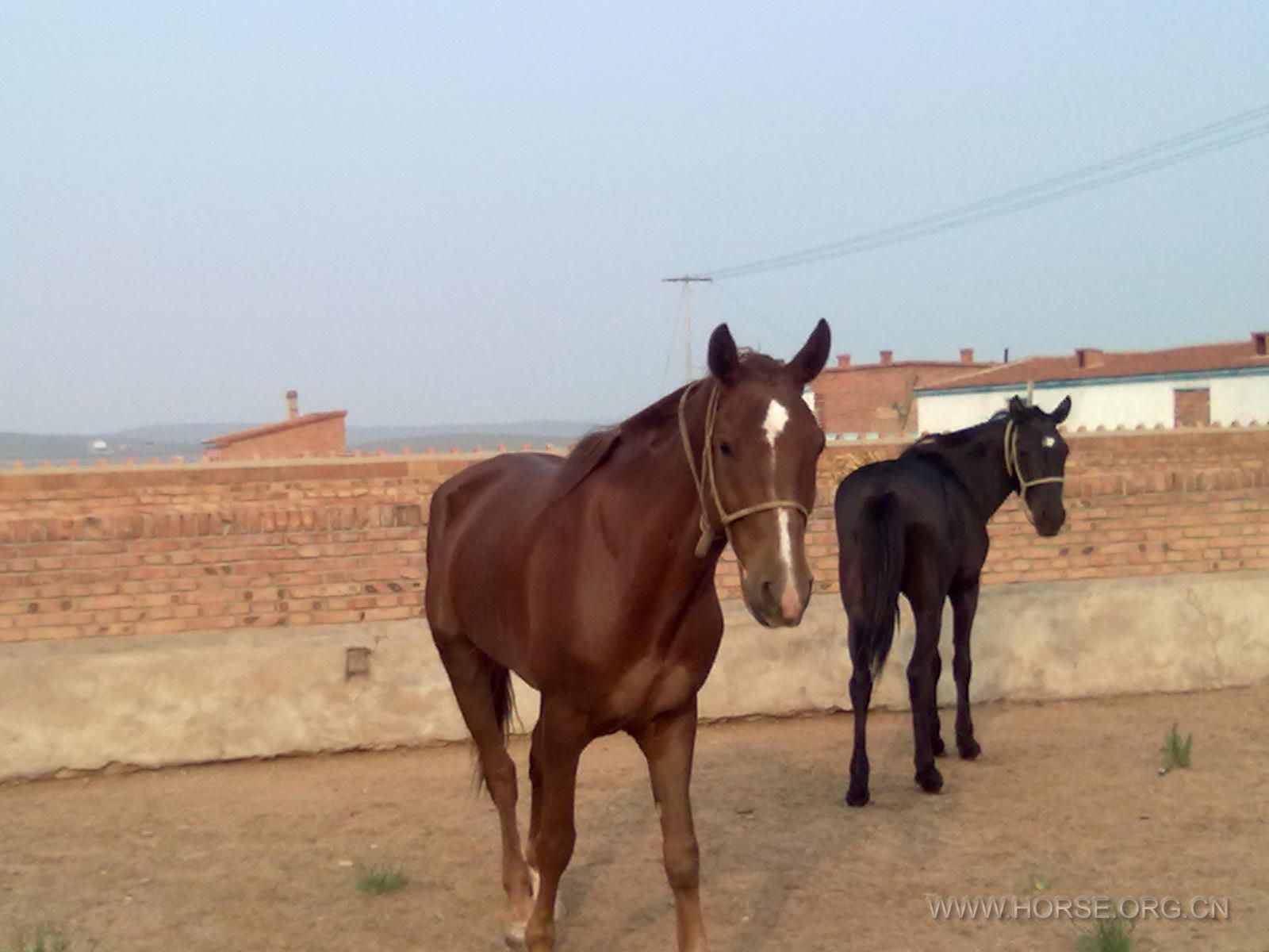 20110620270.jpg