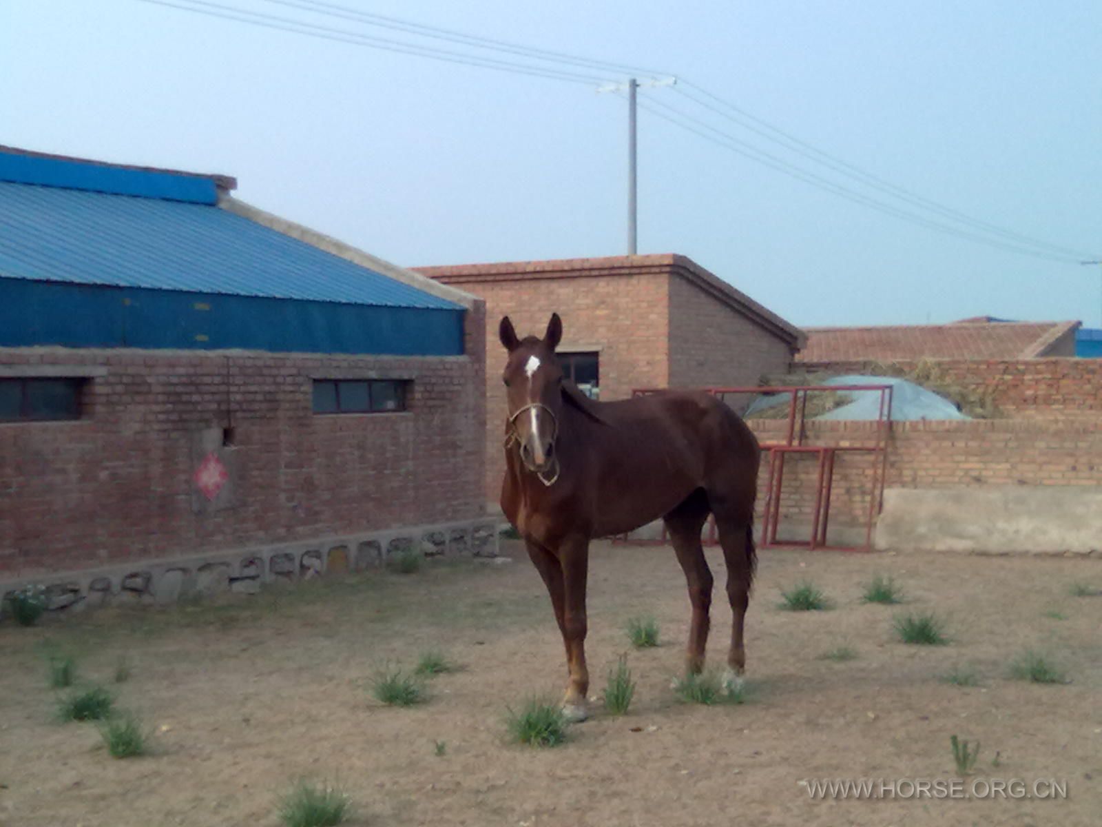 20110620273.jpg