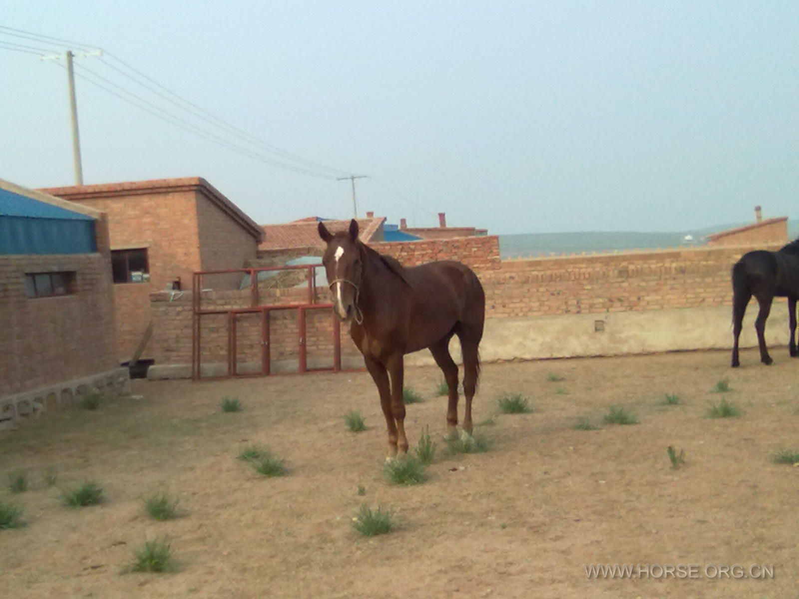 20110620272.jpg
