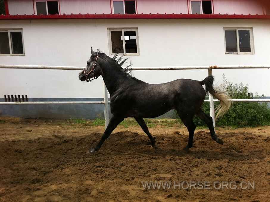 飓风动态5.jpg