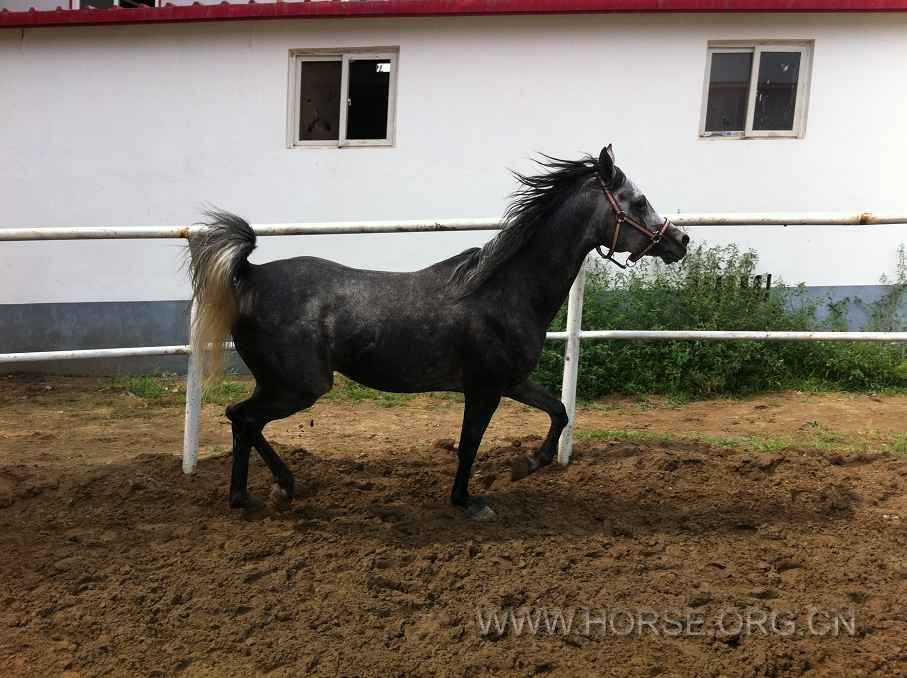 飓风动态3.jpg