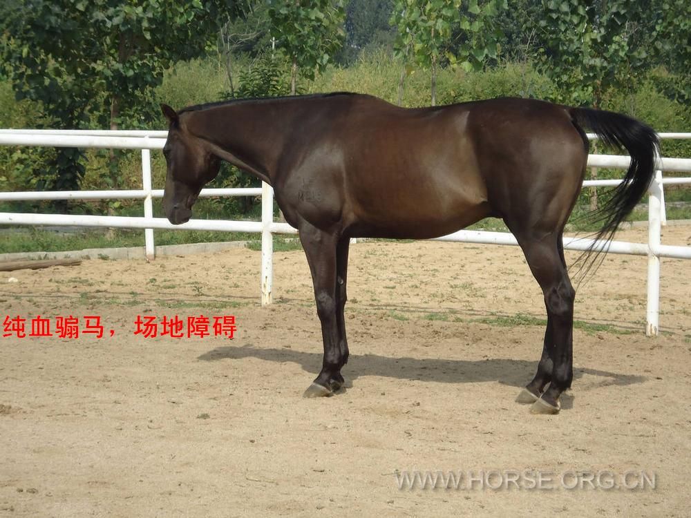 4.5万