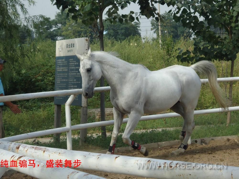 12万