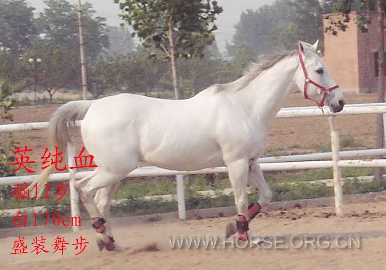 12万
