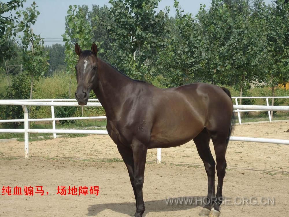 4.5万