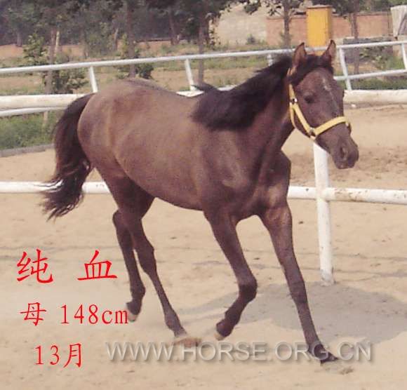 5万