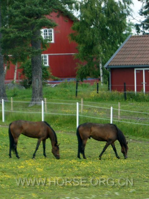 DSC01193.JPG