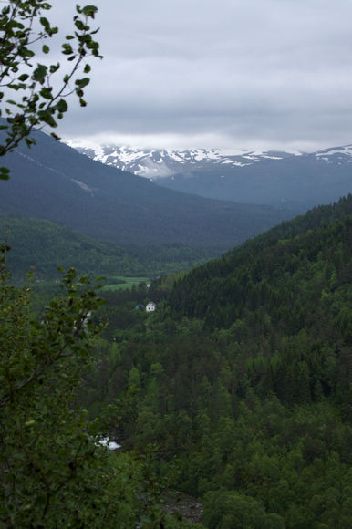 DSC01443.JPG
