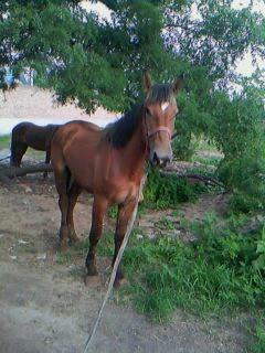 IMG0006A.jpg