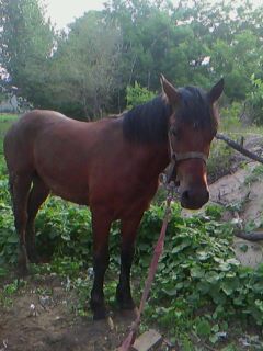IMG0013A.jpg