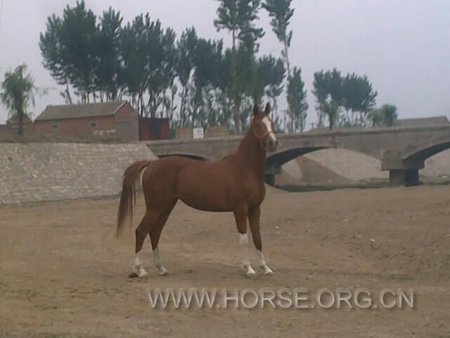 20110528892.jpg