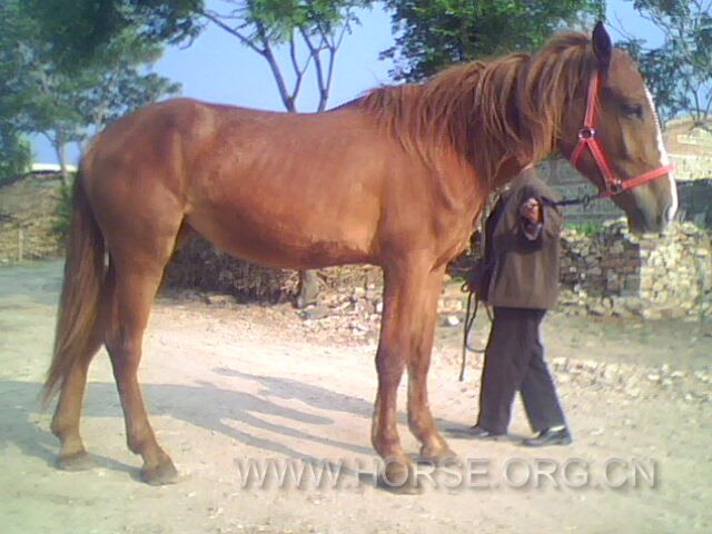 IMG0357A.jpg