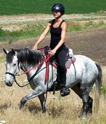 horse 1.jpg