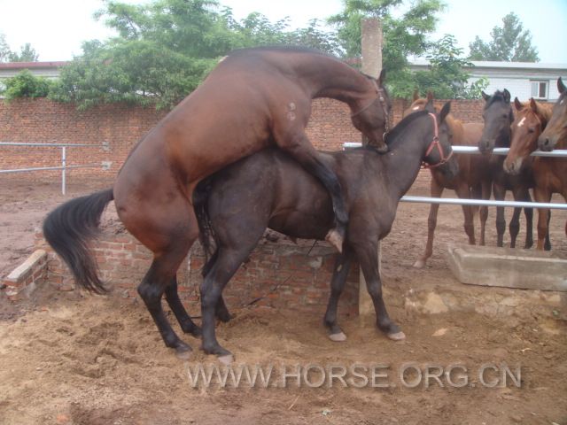 DSC03645.JPG