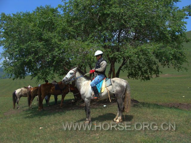 DSC01412.JPG