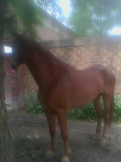 IMG0044A.jpg