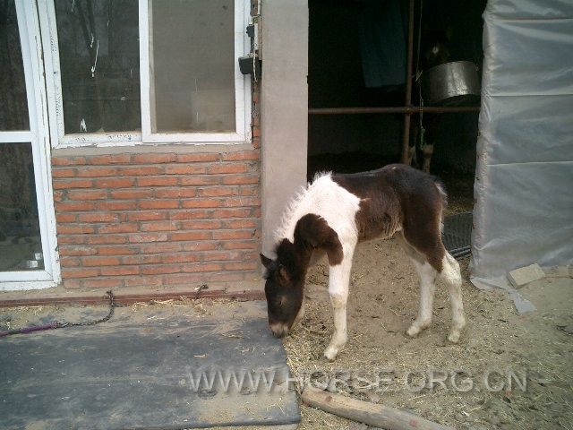 CIMG0059.JPG