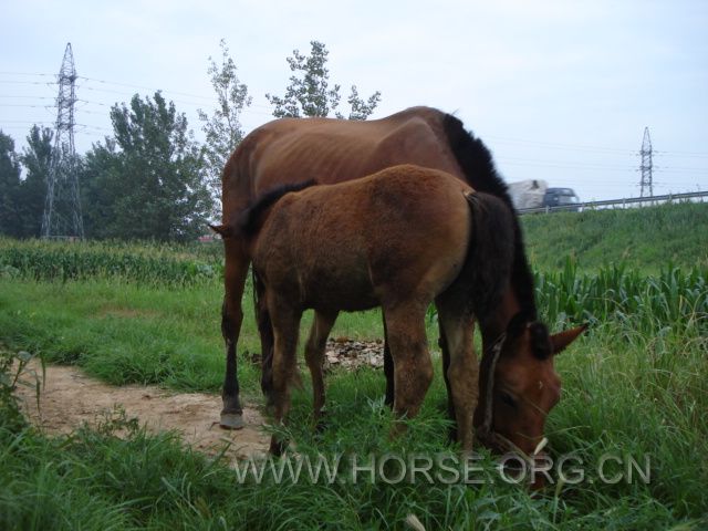 DSC02356.JPG