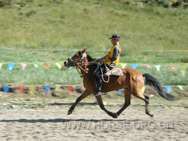 DSCF6701.JPG