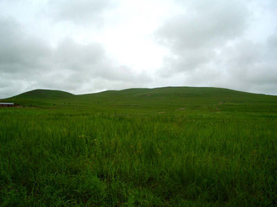 20110608171457955.jpg