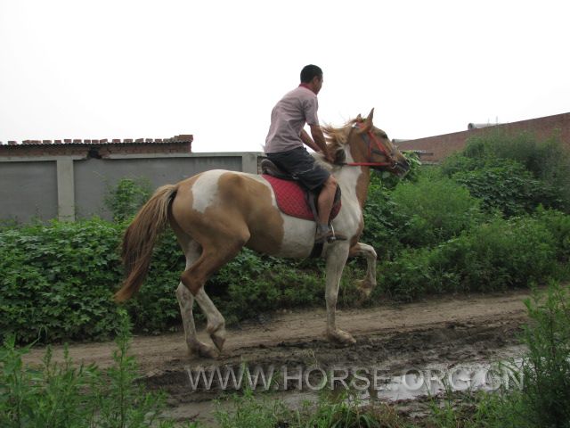 IMG_1163.JPG