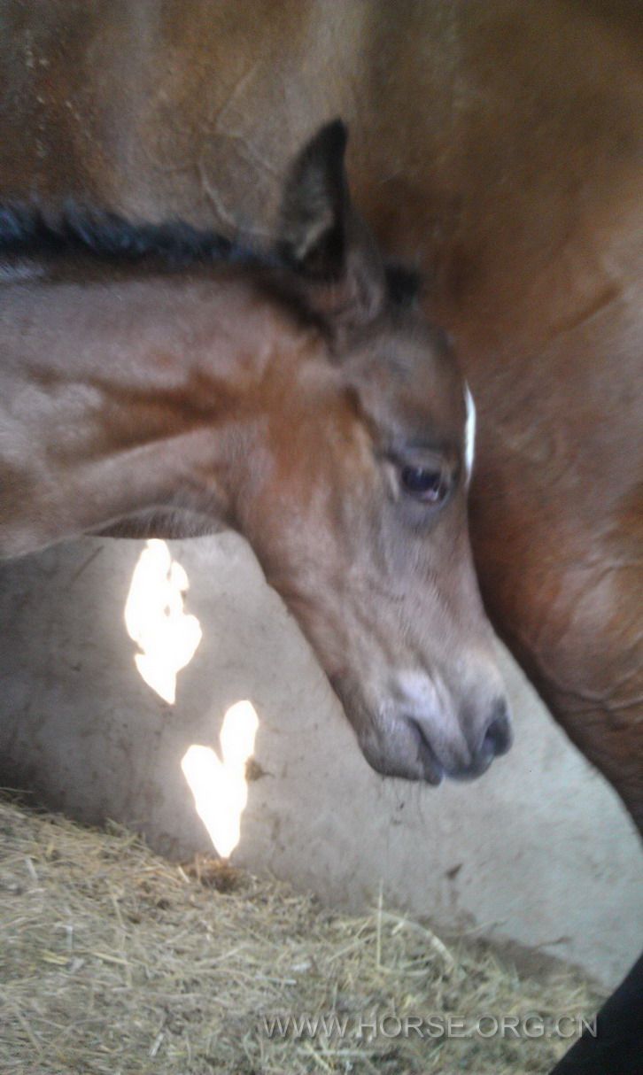IMAG0611-11.jpg