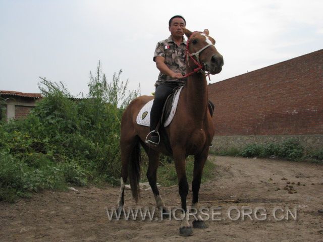IMG_1291.JPG