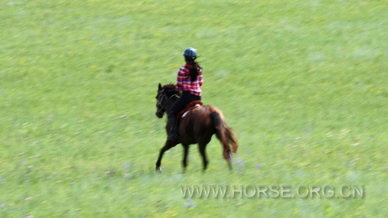 IMG_4976.jpg