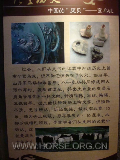 DSC01665.jpg