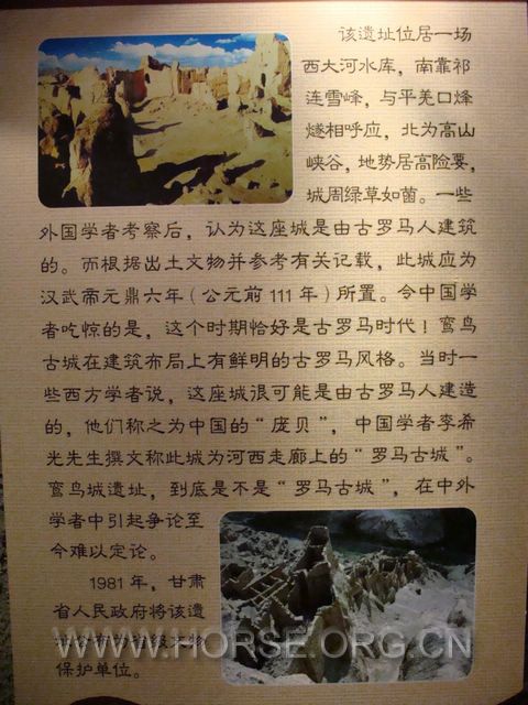 DSC01666.jpg