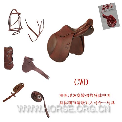 CWD推广.jpg