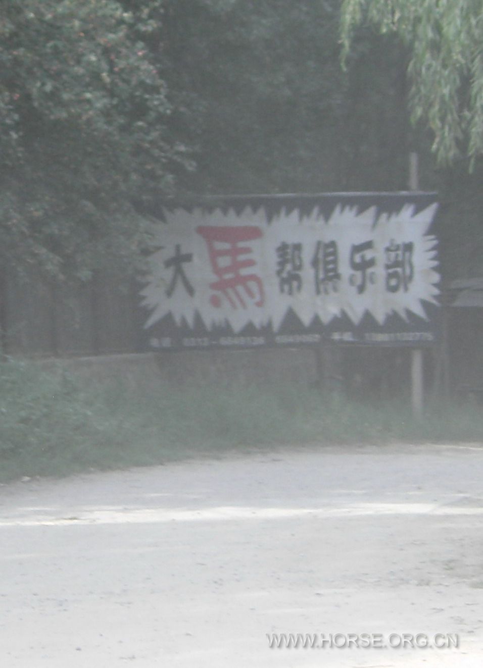 STH73880.jpg