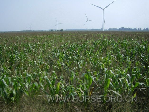 STH74068.jpg