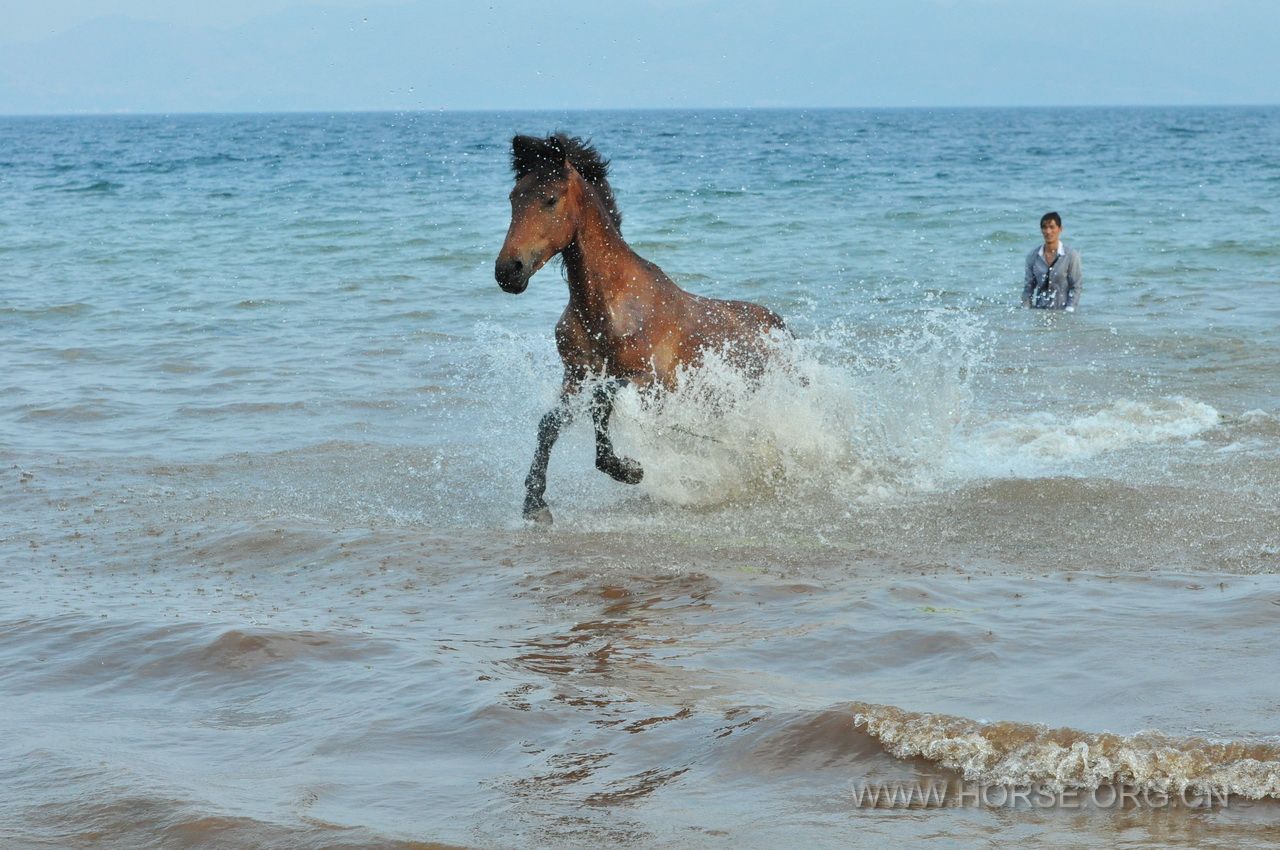 DSC_0212.JPG