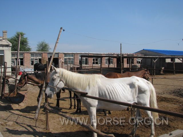 IMG_1612.JPG