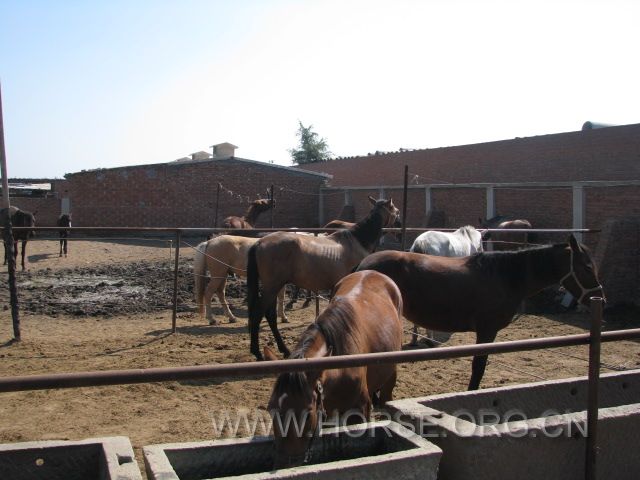 IMG_1613.JPG