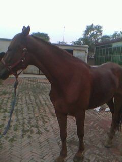 IMG0010A.jpg