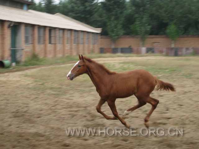 IMG_7513.JPG