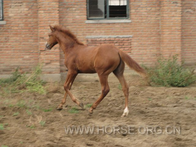 IMG_7545.JPG