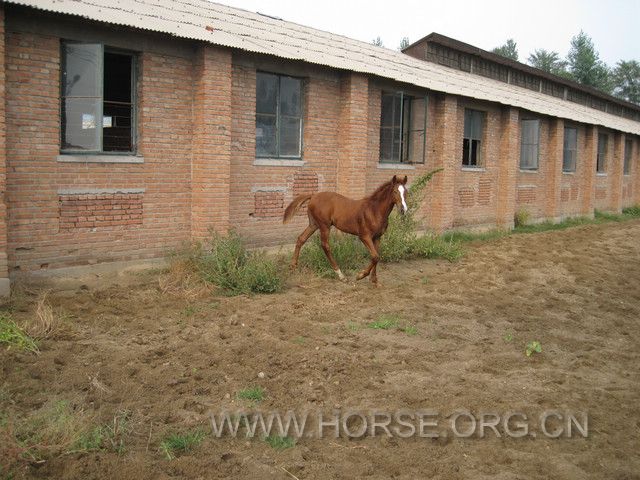 IMG_7566.JPG