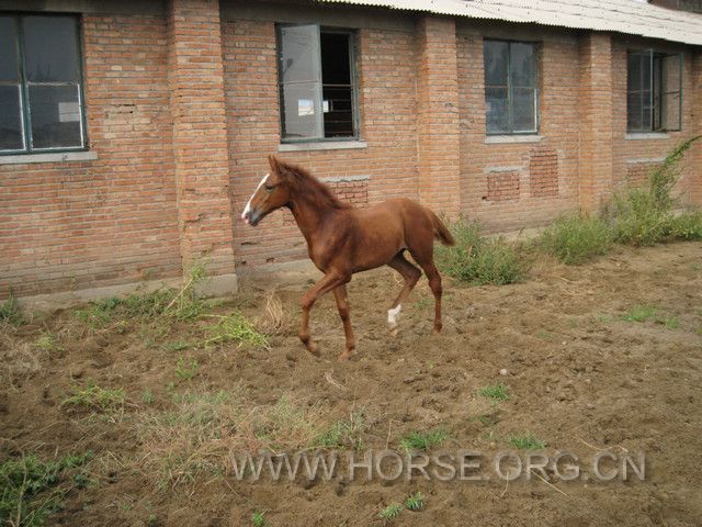 IMG_7569.JPG